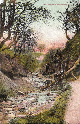 Borgie Glen with bridge in the background - Circa 1900 - Card Dated 1907 - Card No. 132384